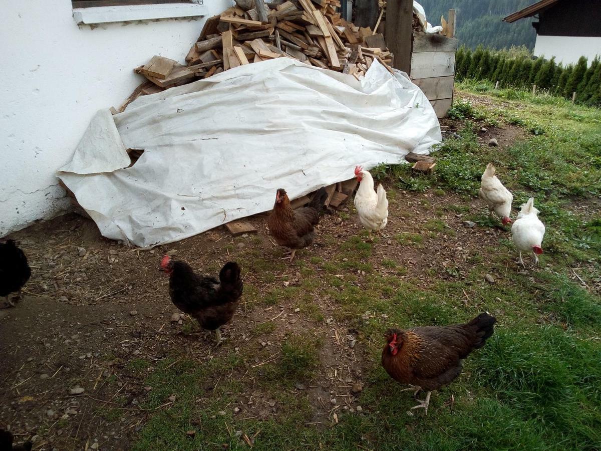 Janserhof Obertilliach Eksteriør billede